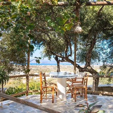 Villa Elysium à Glinado Naxos Extérieur photo